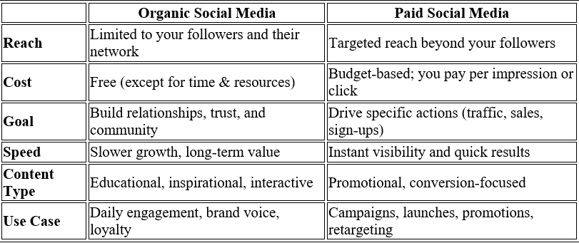 Digital Marketing 6 Organic vs Paid Social Media